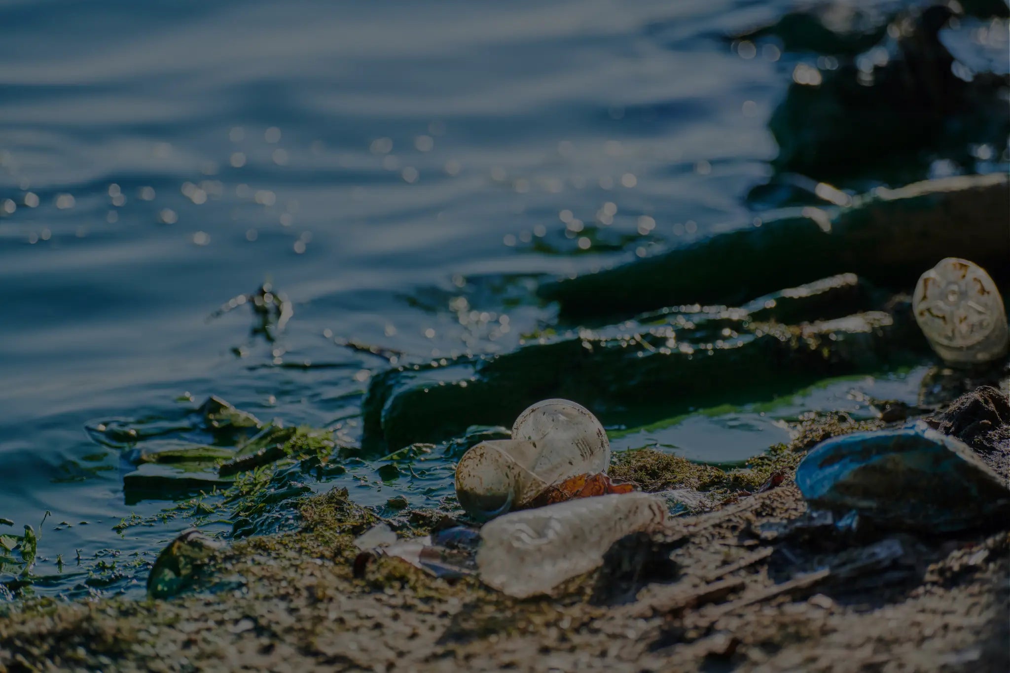 Plastic waste on Ganga River affecting 50 crore people and 210 animal species across 11 Indian states on TropicAura Impact page