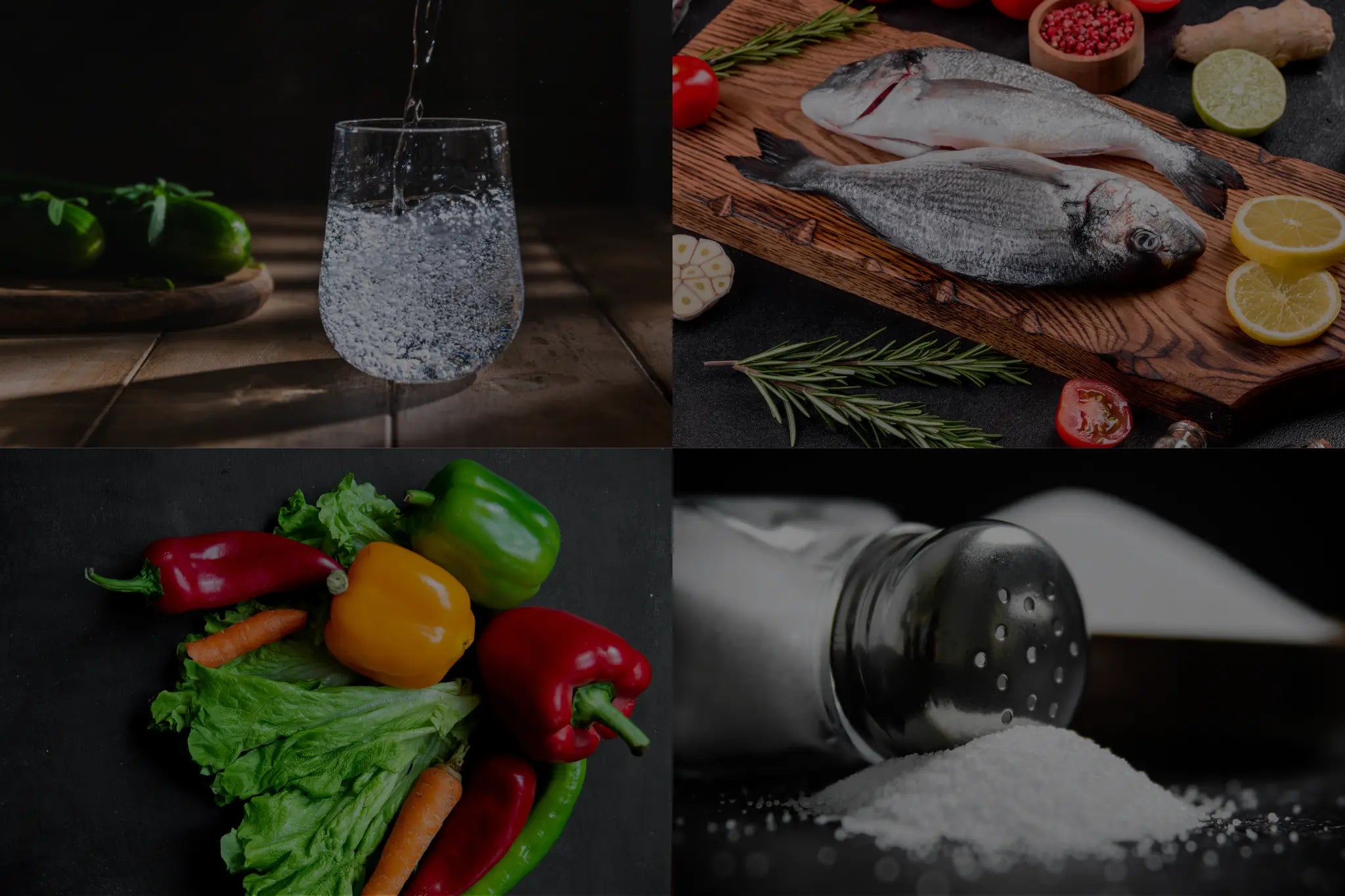 Microplastic in Indian food and water showing fish, salt, vegetables, and drinking water on TropicAura Impact page