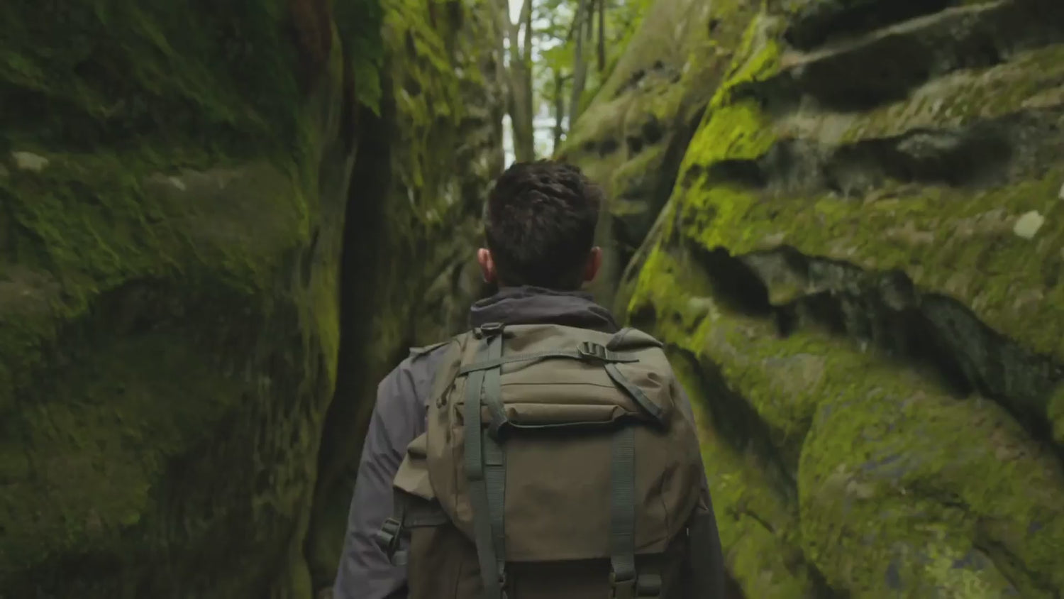 Modular Trexa backpack in nature, sustainable travel gear for work and adventure