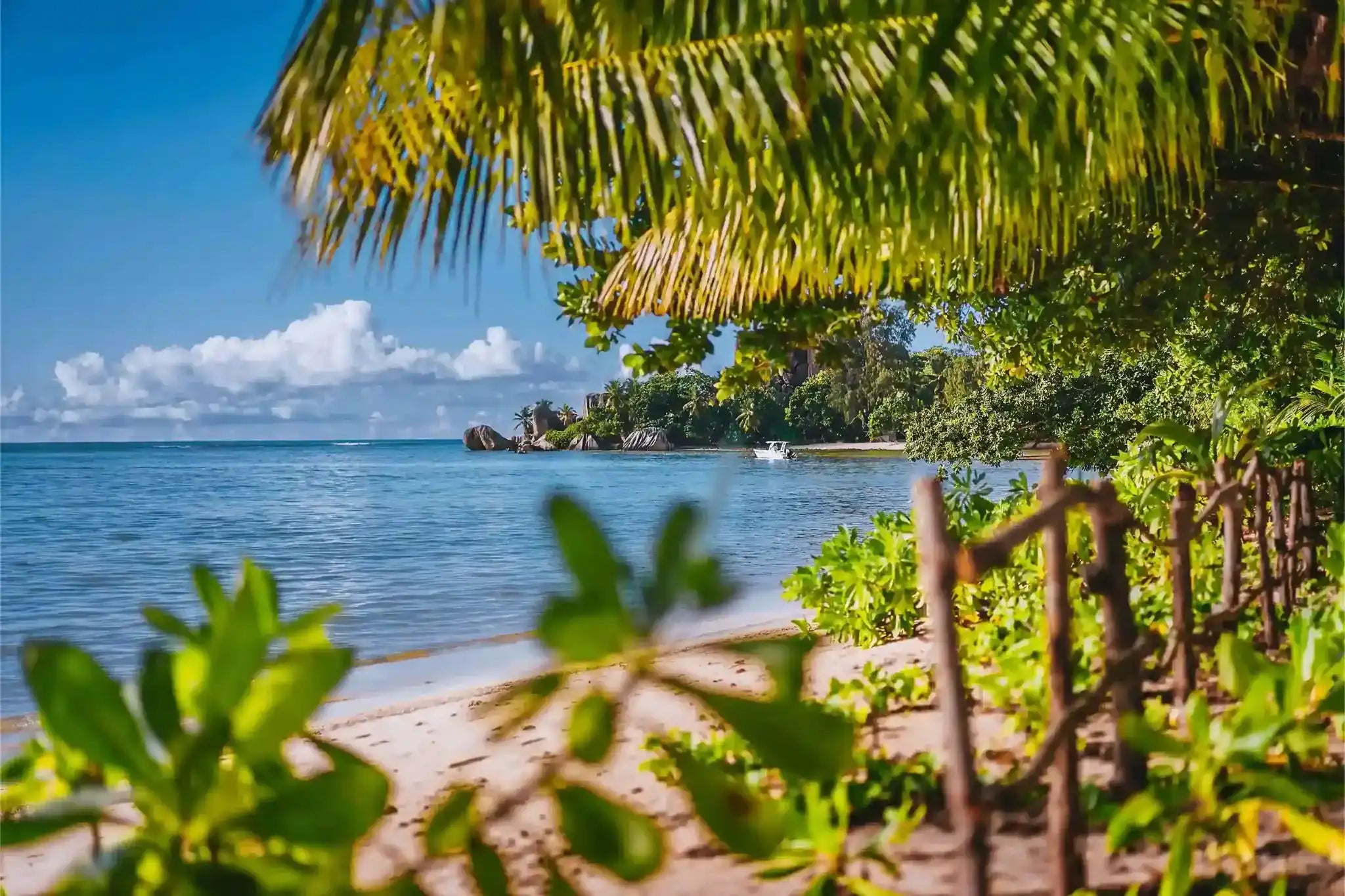 TropicAura making eco-friendly 
innovative travel gear in India to protect rivers and oceans